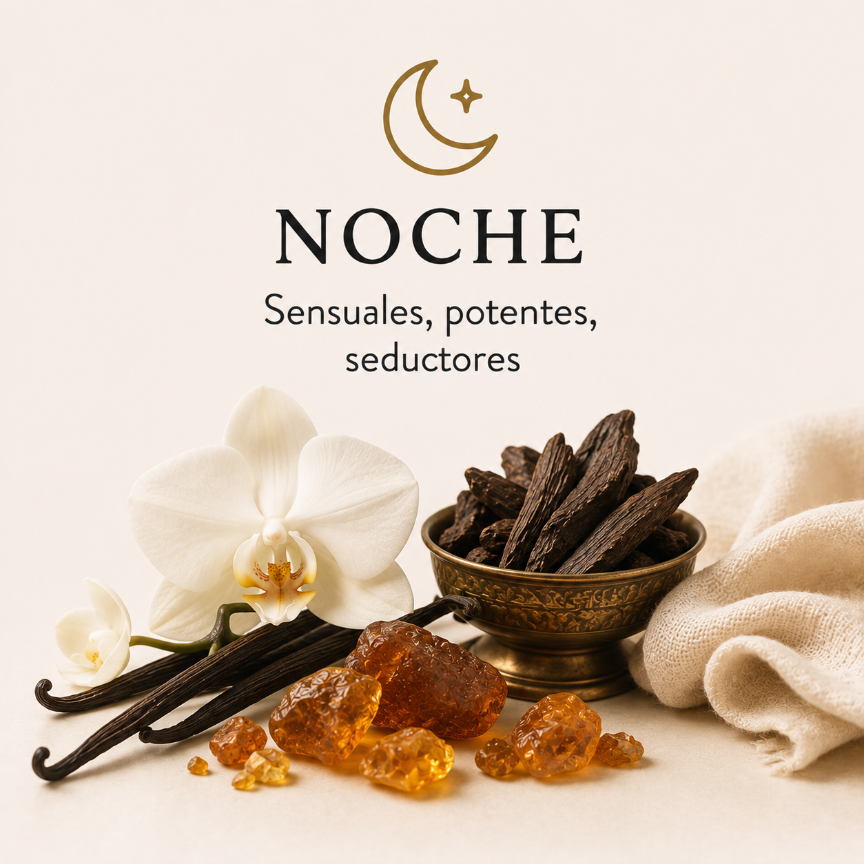 NOCHE